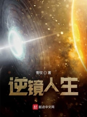 逆镜人生
