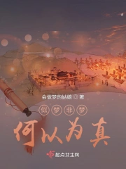 似梦非梦何以为真