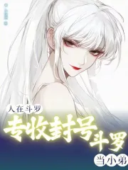 人在斗罗，专收封号斗罗当小弟
