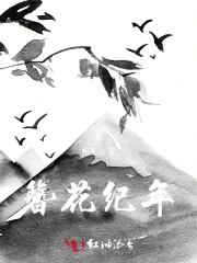 簪花纪年