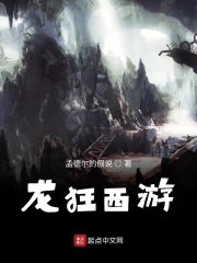龙狂西游