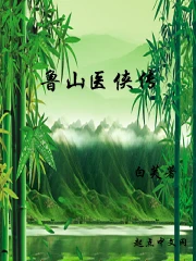 鲁山医侠传