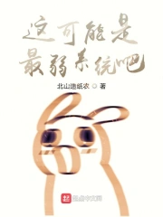 这可能是最弱系统吧