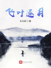 飞叶逐月