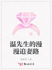 温先生的漫漫追妻路