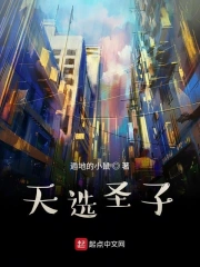 天选圣子