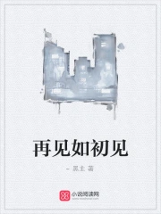 再见如初见