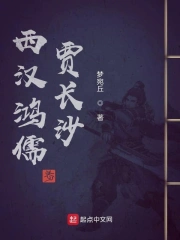 西汉鸿儒贾长沙