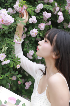 亿万道统