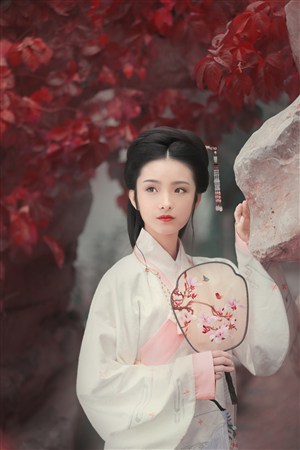 我在修仙界斩妖烹饪