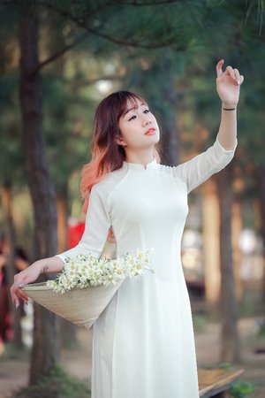 宝可梦之龙系天王