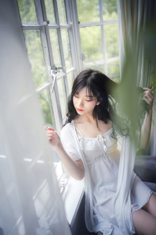 孤狼和猫咪