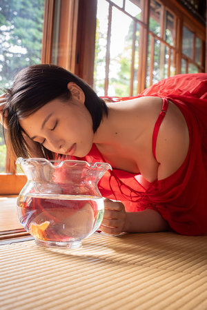 全能儒才